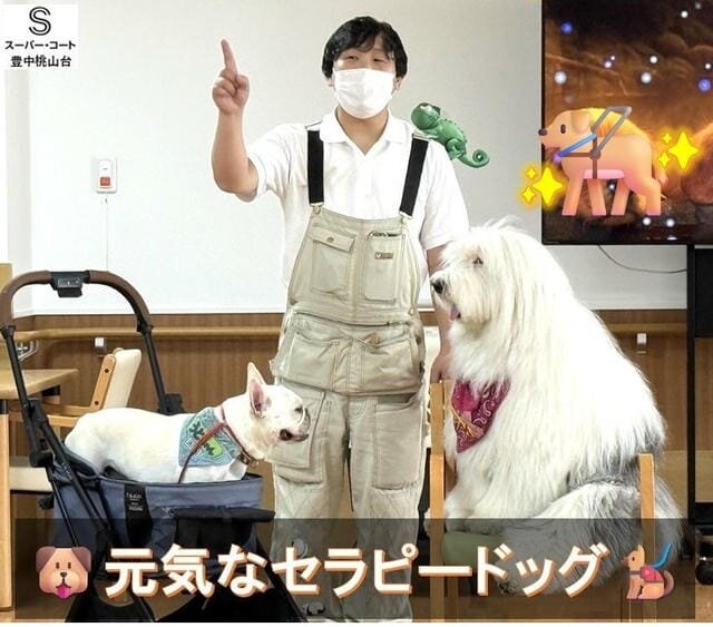 https://www.supercourt.jp/blog/toyonakamomoyamadai/4350196b9af854aa26a572ea253319c00144701d.jpg