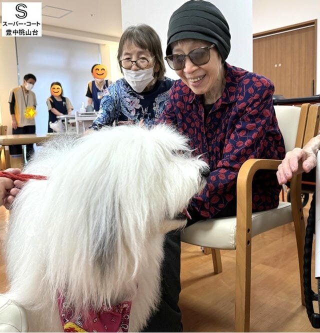 https://www.supercourt.jp/blog/toyonakamomoyamadai/8b4c64edeb853eb1903cd5f433269950004dd176.jpg