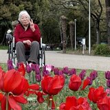 チューリップ011.jpg