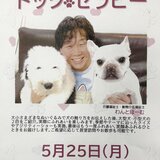 05月祭.JPG