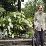 紫陽花加工.jpg