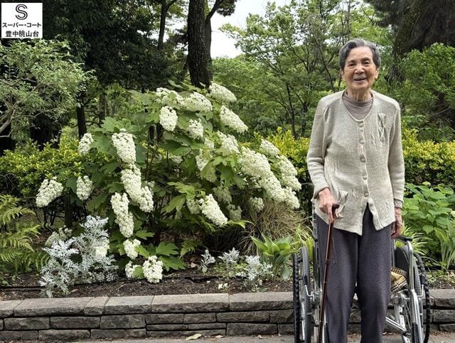 紫陽花加工.jpg