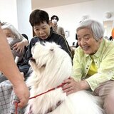 加工犬04.jpg