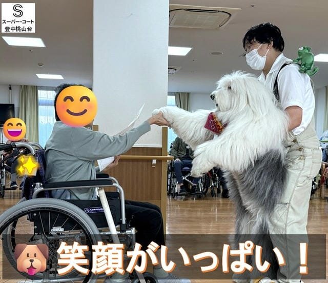 https://www.supercourt.jp/blog/toyonakamomoyamadai/f31ea3c9ff7d3112d2ec5bd790317161ec766abc.jpg