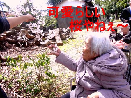 サゲハシ③手に桜.jpgのサムネイル画像