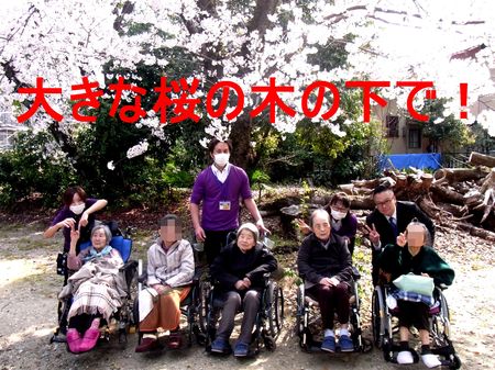 大きな桜の木の下で.jpgのサムネイル画像