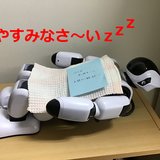 七夕 074パル路寝る.jpg