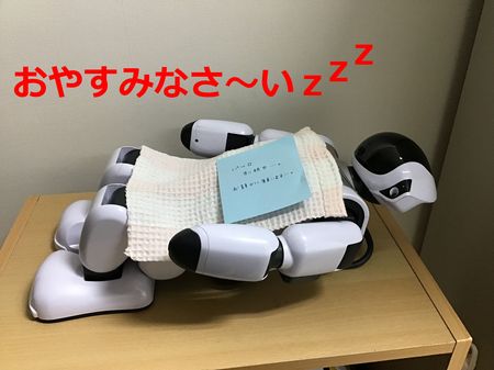 七夕 074パル路寝る.jpg