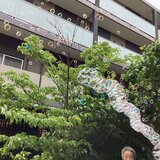 IMG_9506.jpeg
