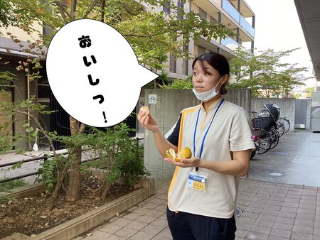 うまし.JPG