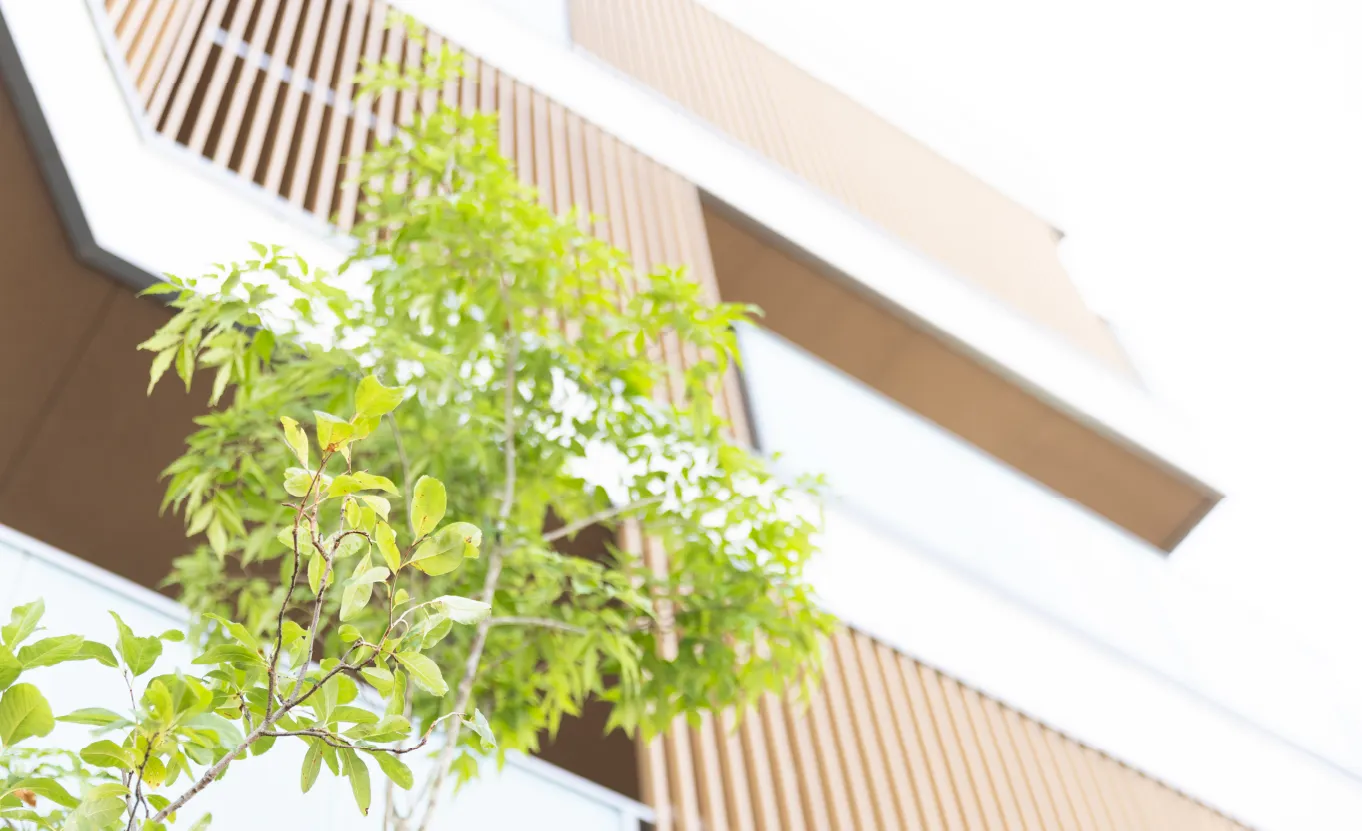 老人ホーム市場の特色