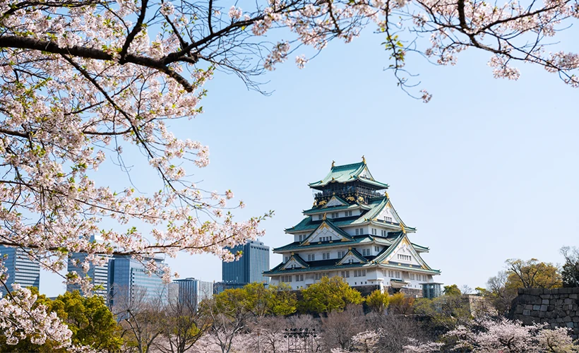 老人ホーム市場の特色