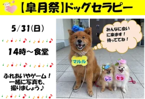【スーパー・コート川西加茂】可愛いワンちゃんたちがやってくる！「皐月祭」ドッグセラピー開催