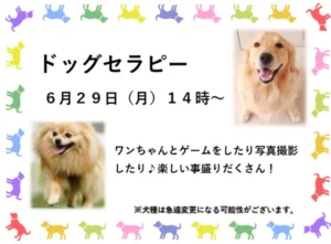 【プレミアム池田】可愛いワンちゃんに大癒やし！ドッグセラピーを開催