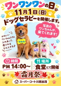 【スーパー・コート川西加茂】かわいいワンちゃんと触れ合って癒されるひととき「ドッグセラピー」開催